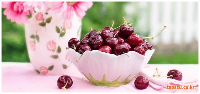 체리 효능 부작용 및 보관법 완벽 가이드