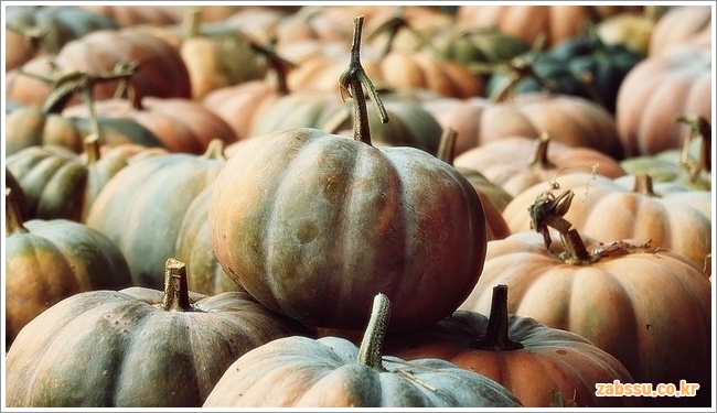 호박의 효능, 부작용 및 보관 방법 총정리 호박의 효능, 부작용 및 보관 방법 총정리