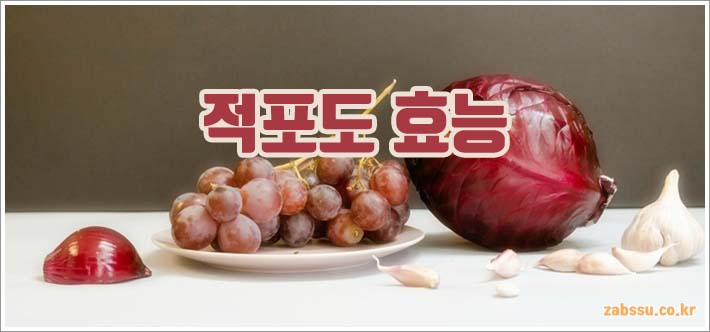 적포도의 효능과 부작용 및 하루 섭취량 가이드
