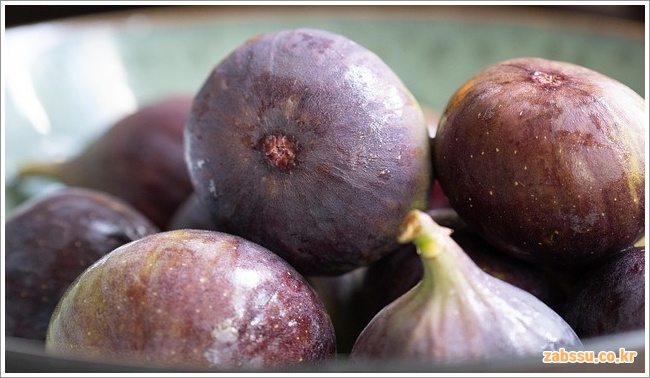 FIG이미지입니다.