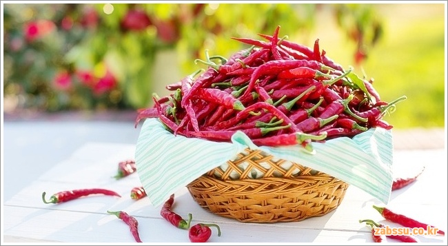고추의 효능, 부작용 및 보관법 안내 고추의 효능, 부작용 및 보관법 안내