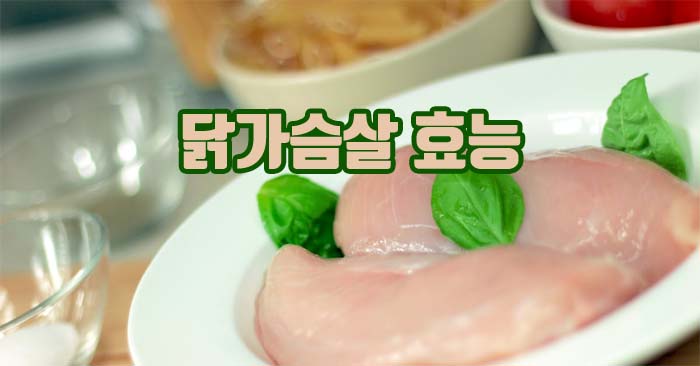 닭가슴살 효능 부작용과 하루 섭취량 알아보기