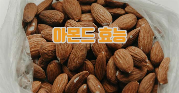 아몬드 효능 부작용과 하루 섭취량 총정리